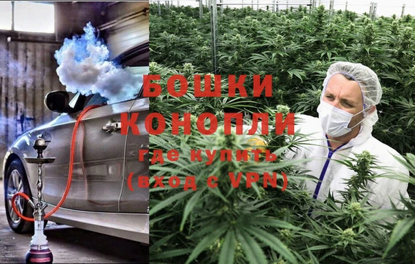 крисы Нефтекумск