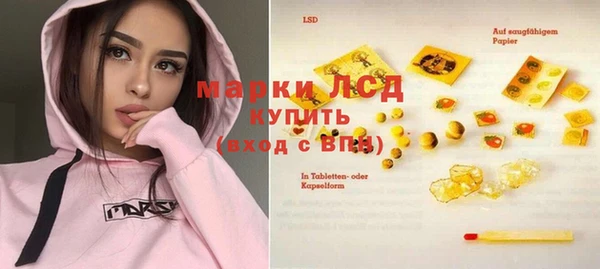 индика Абинск