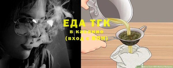 индика Абинск