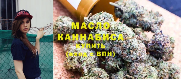 индика Абинск