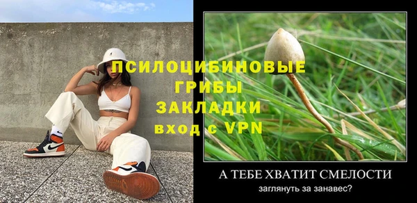 индика Абинск