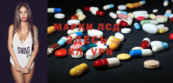 индика Абинск