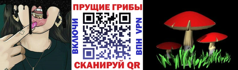 Псилоцибиновые грибы MAGIC MUSHROOMS  Спас-Клепики 